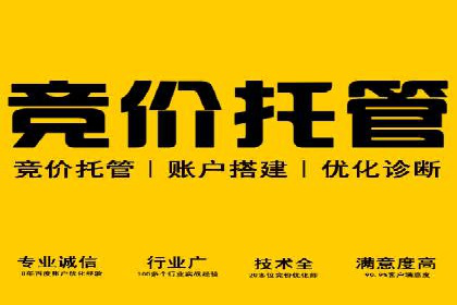 百度竞价推广公司经典案例解析：广告投放策略的智慧